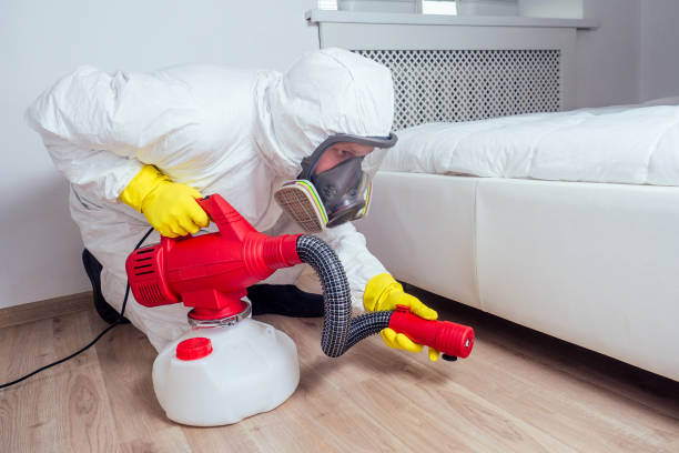 Best Bed Bug Extermination  in West Hattiesburg, MS